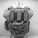 ReconBrothers® Direct Action® Fighter Plate Carrier Setup V1 No Color - Back