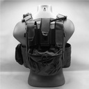 ReconBrothers® Direct Action® Fighter Plate Carrier Setup V2 No Color - Back