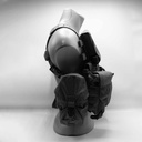 ReconBrothers - Direct Action RECCE Chest Rig Setup - No Color Right